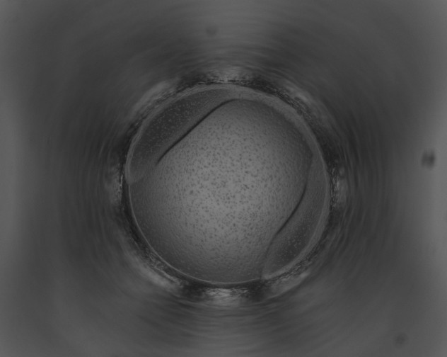 X0000091190558200708301239