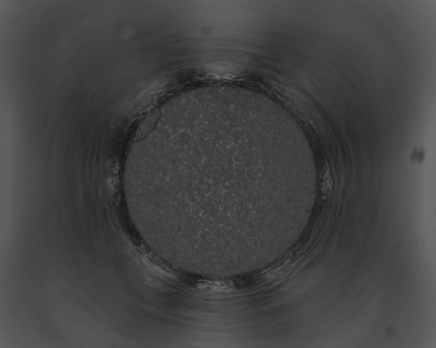 X0000091190559200708301239