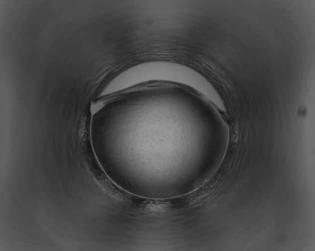 X0000091190560200708301239