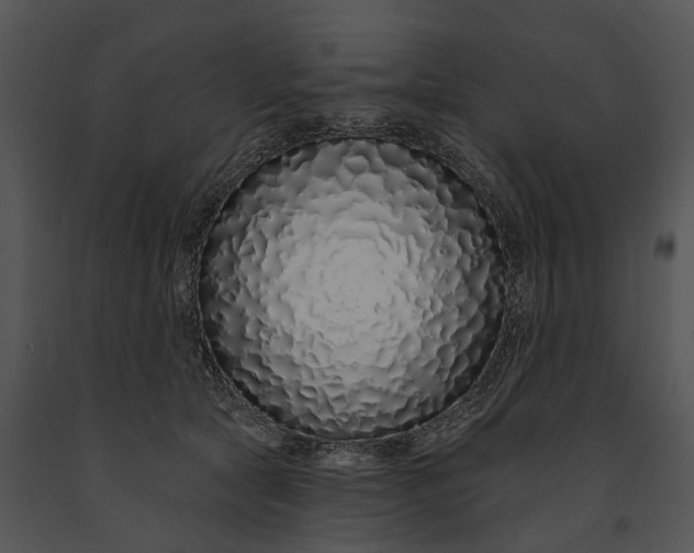 X0000091190561200708301239