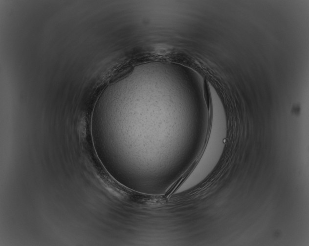 X0000091190562200708301239