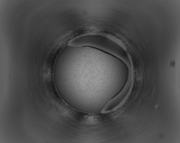 X0000091190564200708301239