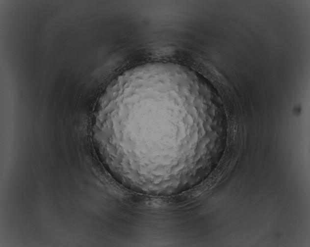 X0000091190565200708301240