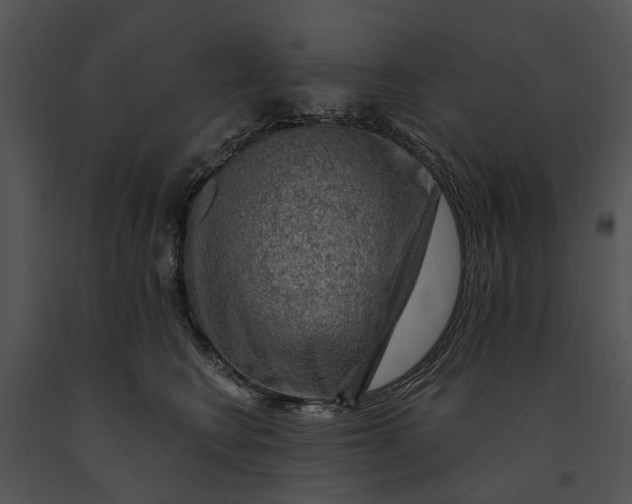 X0000091190566200708301240