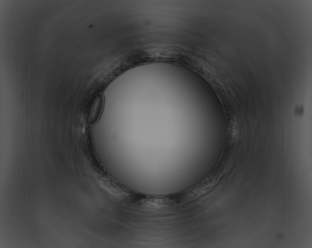 X0000091190567200708301240