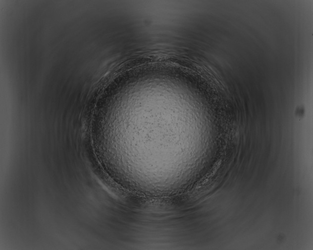 X0000091190568200708301240