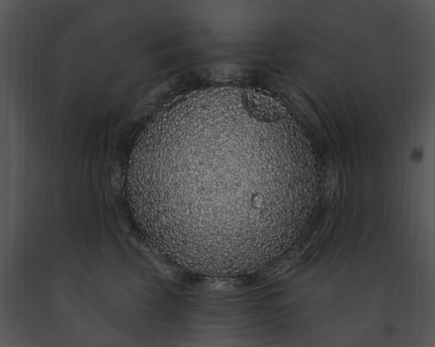 X0000091190569200708301240