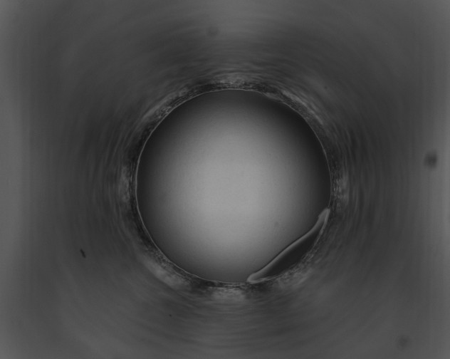 X0000091190572200708301240