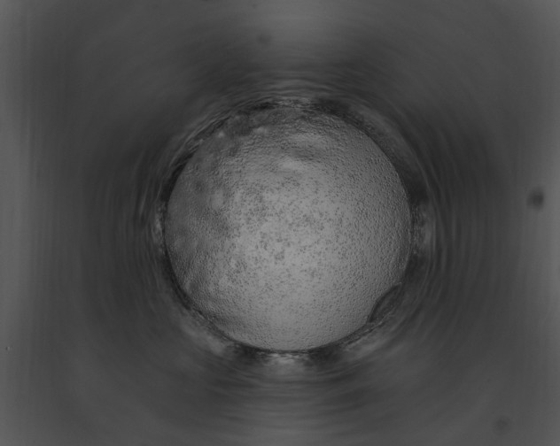 X0000091190573200708301240