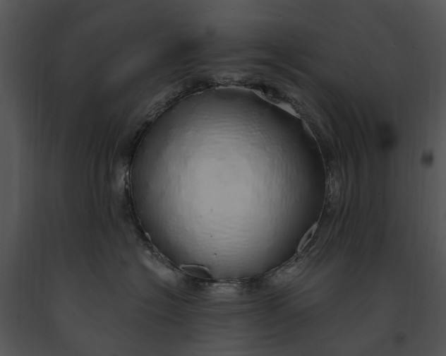 X0000091190574200708301240