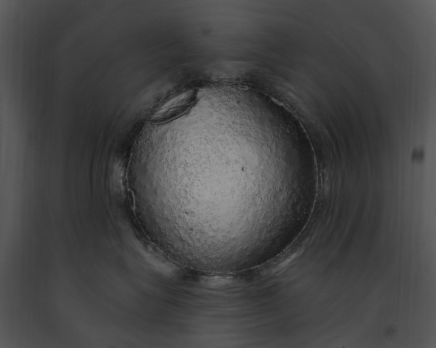 X0000091190575200708301240