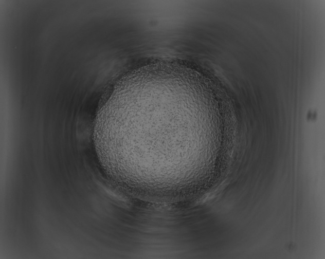 X0000091190576200708301240