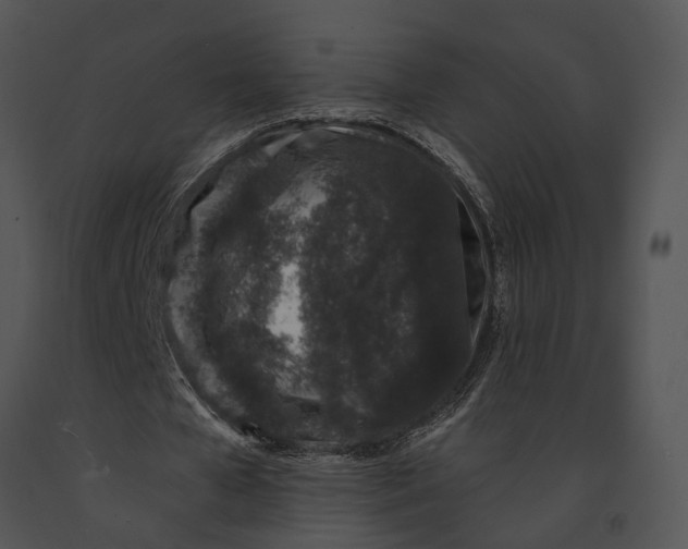 X0000091190577200708301239