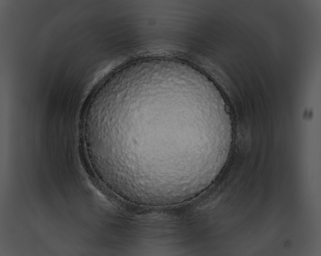 X0000091190578200708301239