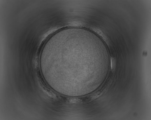 X0000091190579200708301239