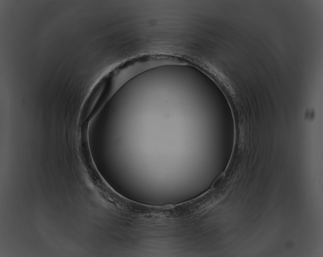 X0000091190580200708301239