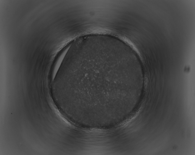 X0000091190581200708301239