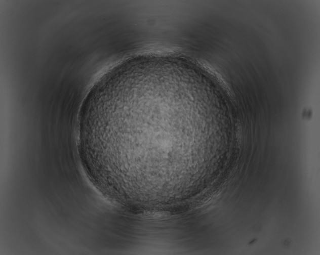 X0000091190582200708301239