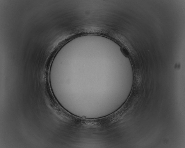 X0000091190583200708301239