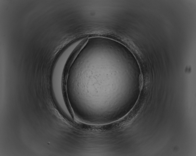 X0000091190585200708301239