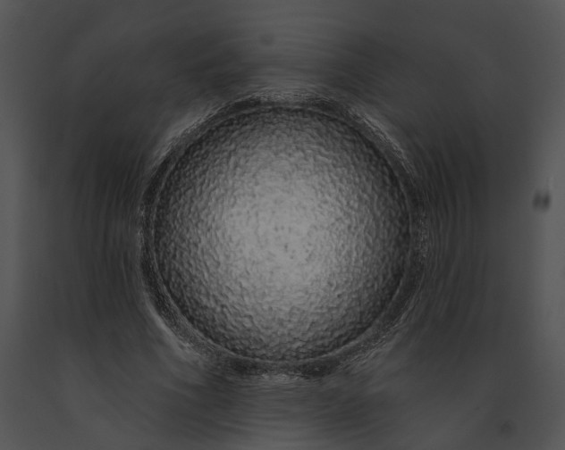 X0000091190586200708301239