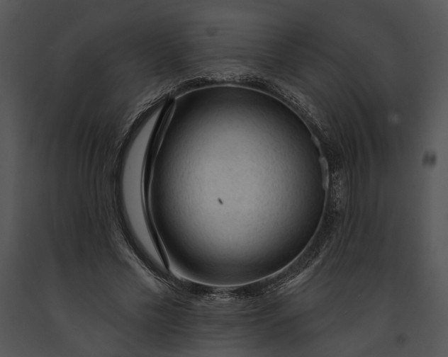 X0000091190589200708301239