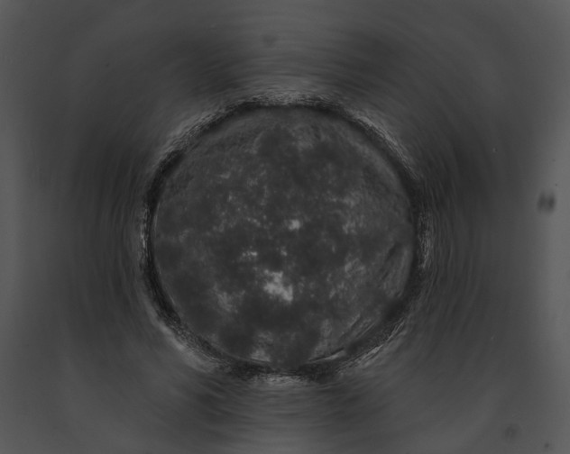 X0000091190590200708301239