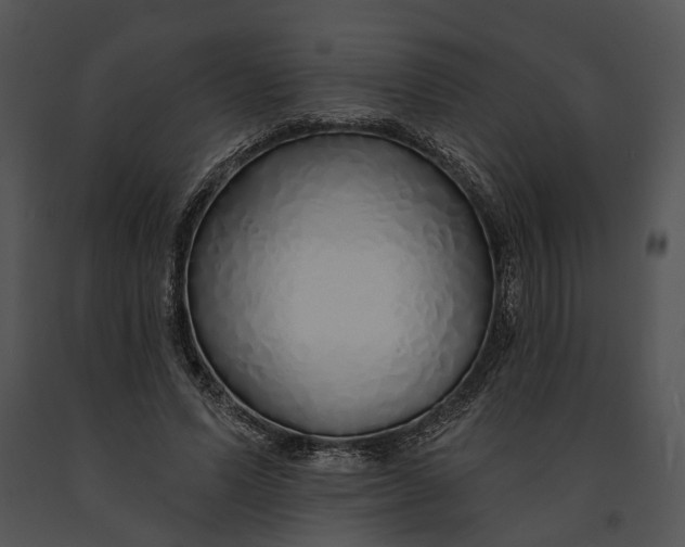 X0000091190591200708301239