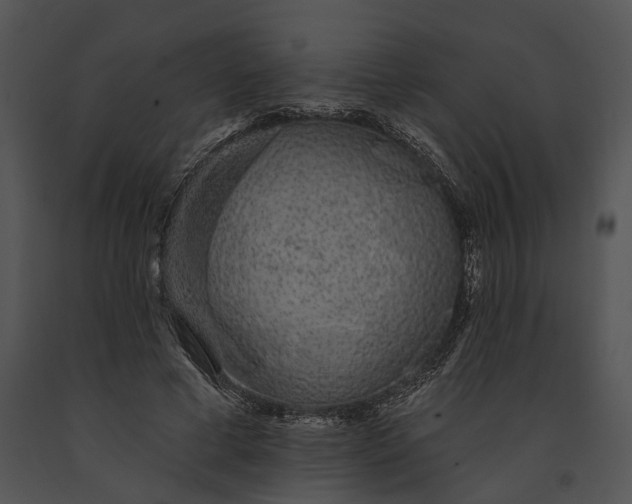 X0000091190593200708301239