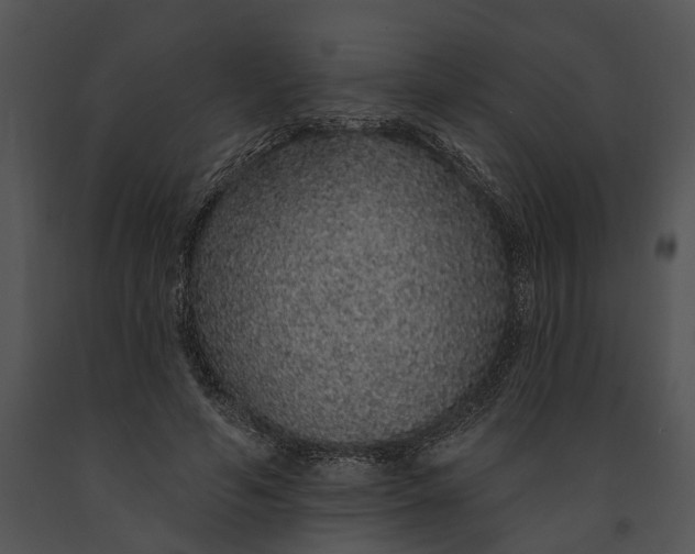 X0000091190594200708301239