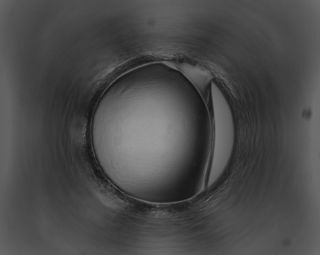 X0000091190596200708301239