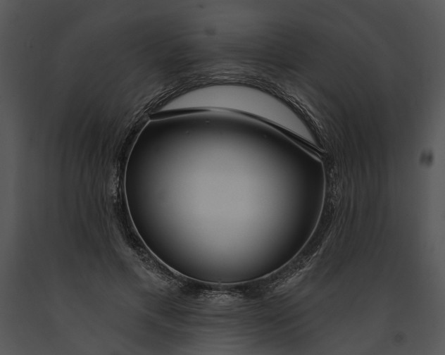 X0000091190597200708301239