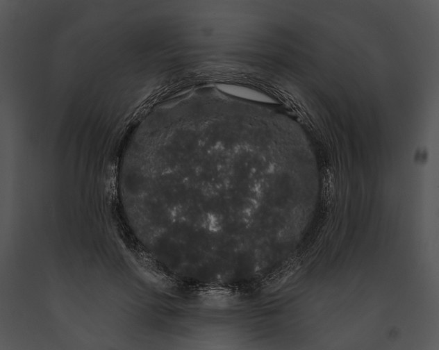 X0000091190598200708301239