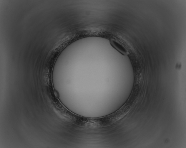 X0000091190599200708301239