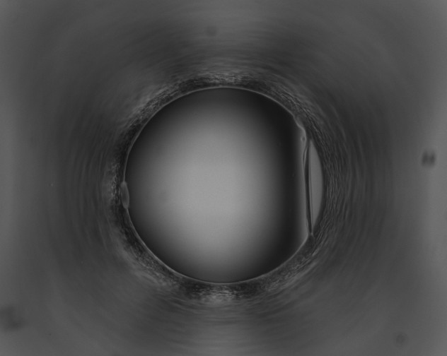 X0000091190600200708301239