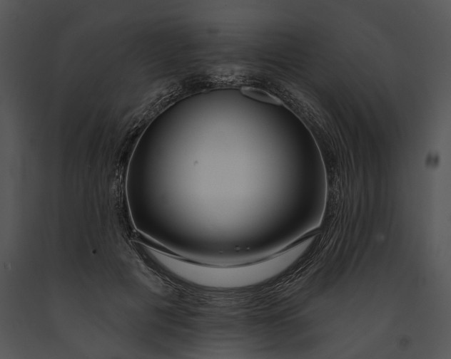 X0000091190601200708301239