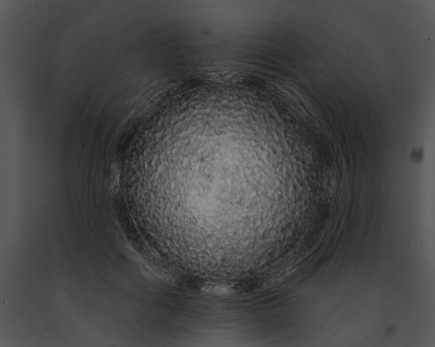 X0000091190602200708301239