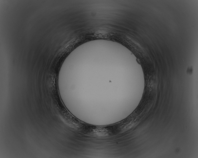 X0000091190603200708301239