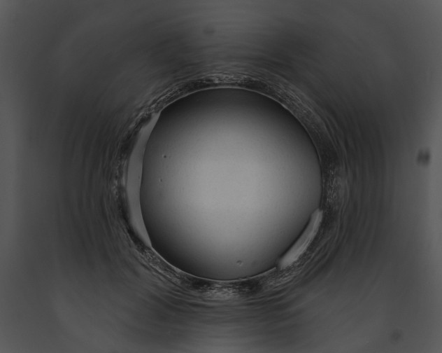 X0000091190604200708301239