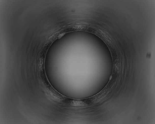 X0000091190605200708301239