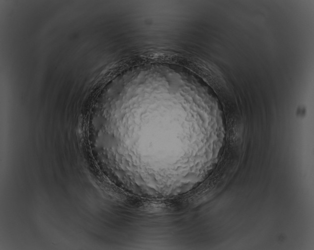 X0000091190607200708301239