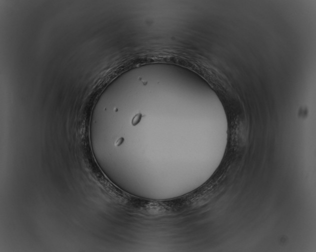 X0000091190608200708301239