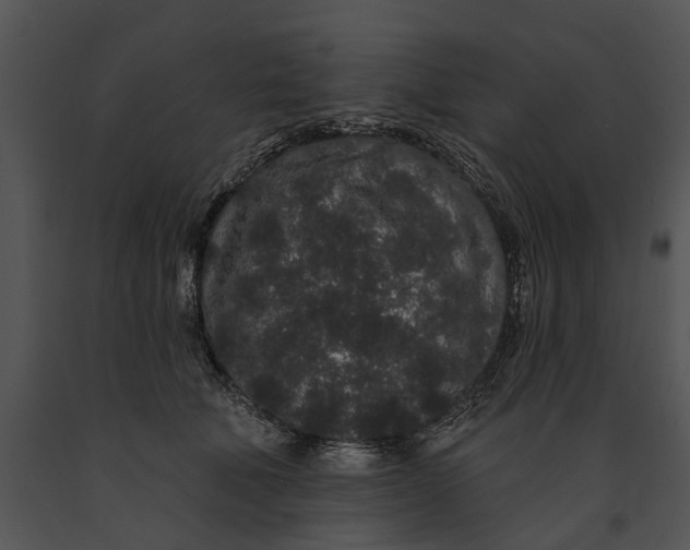 X0000091190610200708301239