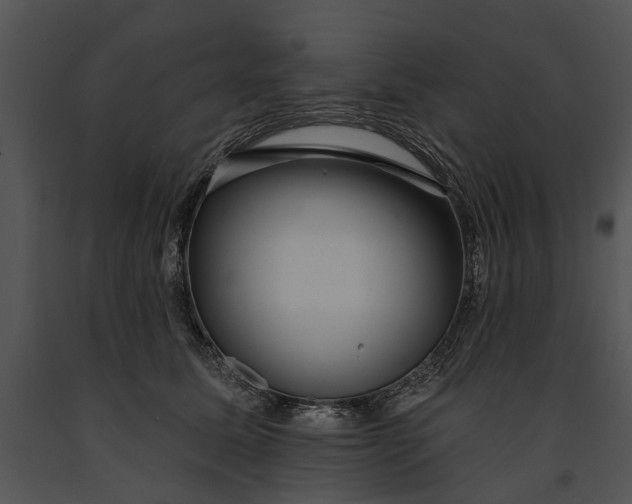 X0000091190611200708301239