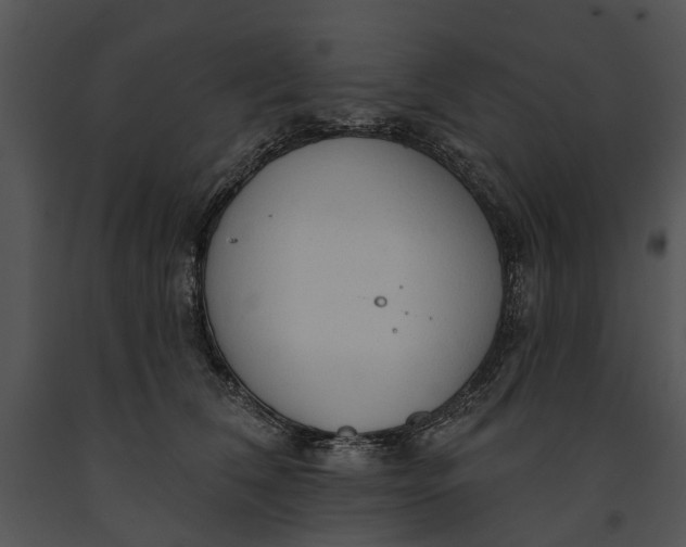 X0000091190612200708301239