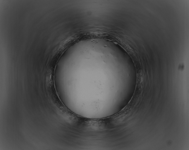 X0000091190615200708301239