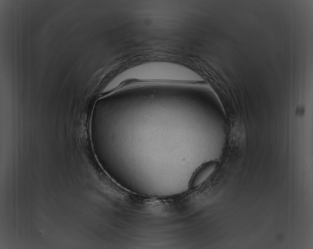 X0000091190616200708301239