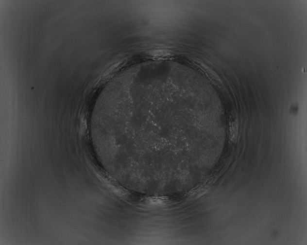 X0000091190618200708301239