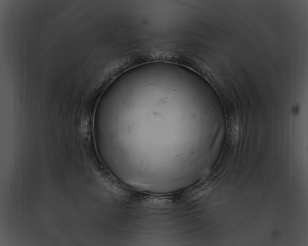 X0000091190619200708301239