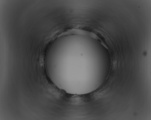 X0000091190620200708301239